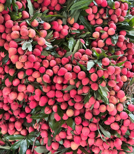 Family Harvest Box | Gola - 10kg